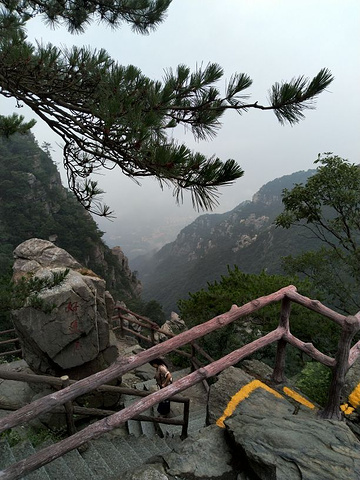 "非常棒的线路，很充实的一天，虽然下雨但见到了雾中的庐山，性价比很高，导游很负责，讲解很详细，非..._庐山国家级旅游风景名胜区-锦绣谷"的评论图片