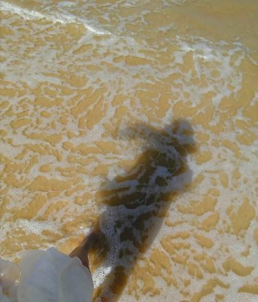 巽寮湾帆船出海