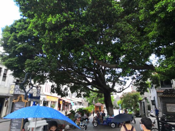 孙中山大元帅府纪念馆