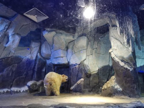 南宁极地海洋世界