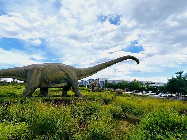 辽宁朝阳鸟化石国家地质公园