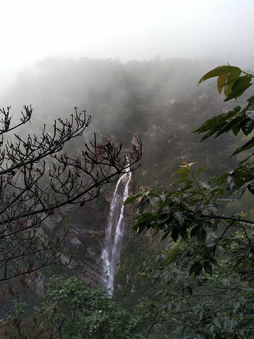 "非常棒的线路，很充实的一天，虽然下雨但见到了雾中的庐山，性价比很高，导游很负责，讲解很详细，非..._庐山国家级旅游风景名胜区-锦绣谷"的评论图片