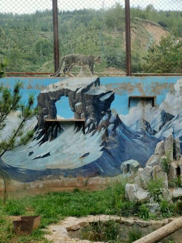 西宁野生动物园