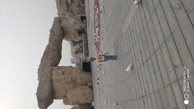 黄河三角洲动物园