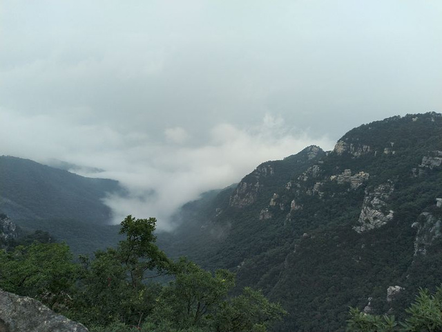 "非常棒的线路，很充实的一天，虽然下雨但见到了雾中的庐山，性价比很高，导游很负责，讲解很详细，非..._庐山国家级旅游风景名胜区-锦绣谷"的评论图片