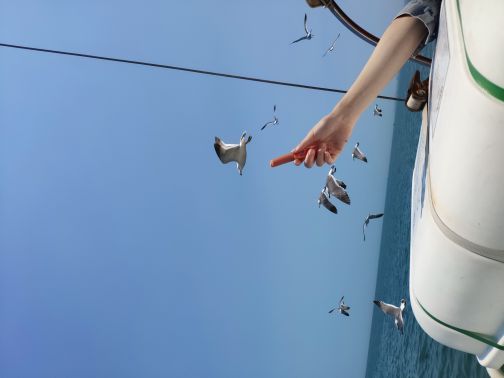 黄渤海分界坐标