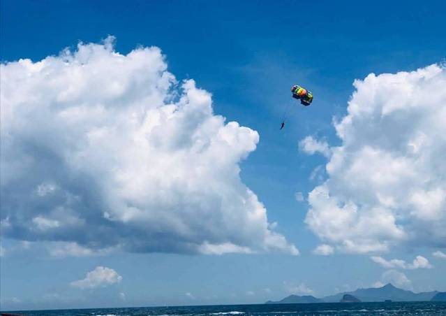 海龟自然保护区