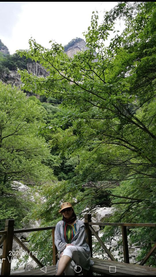 青峰峡森林公园