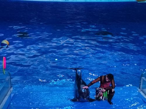 南宁极地海洋世界