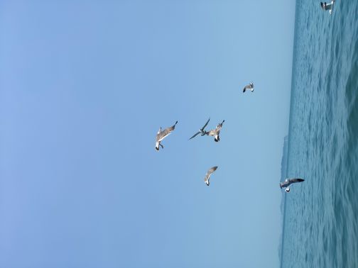 黄渤海分界坐标