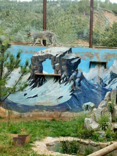 西宁野生动物园