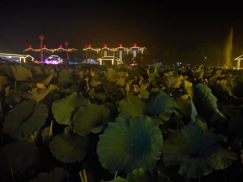 白云湖国家湿地公园