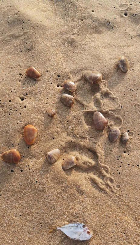 巽寮湾帆船出海