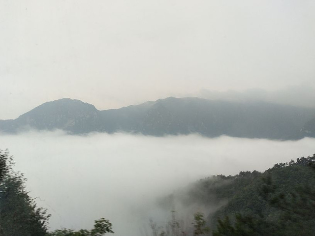 "非常棒的线路，很充实的一天，虽然下雨但见到了雾中的庐山，性价比很高，导游很负责，讲解很详细，非..._庐山国家级旅游风景名胜区-锦绣谷"的评论图片