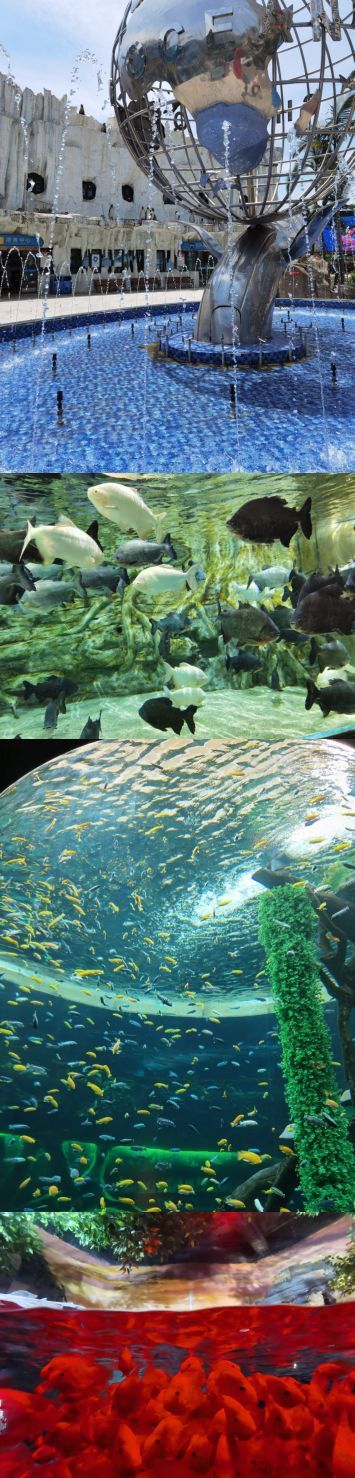 重庆汉海海洋公园