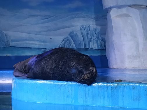 赣州极地海洋世界