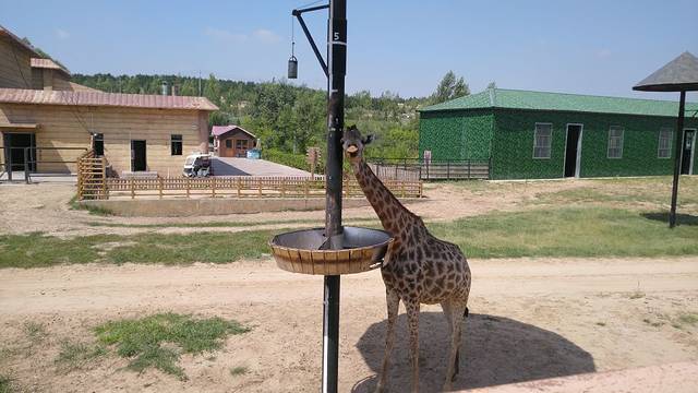 鄂尔多斯野生动物园