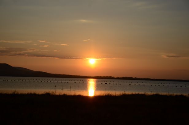 闪电湖京北湿地草原