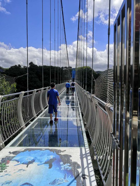 第九洞天大穿越