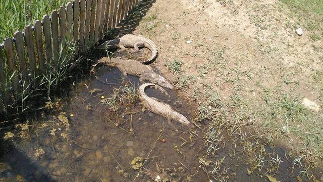 鄂尔多斯野生动物园