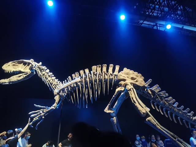 侏罗纪世界电影特展