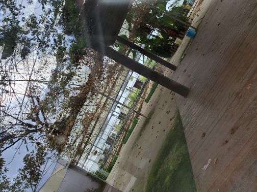 光明农场大观园