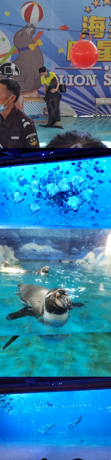 重庆汉海海洋公园