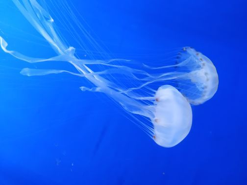 赣州极地海洋世界