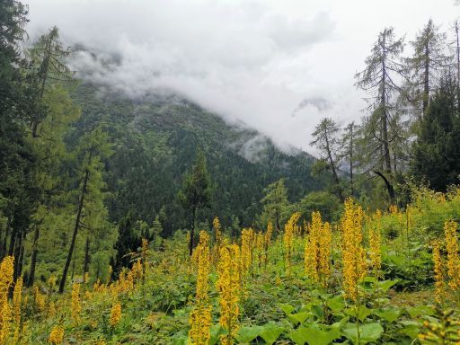 毕棚沟景区-龙王海