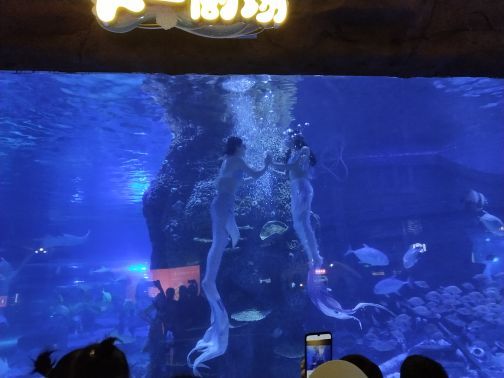 荆州小梅沙海洋馆