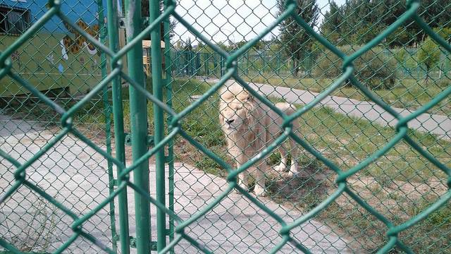 鄂尔多斯野生动物园