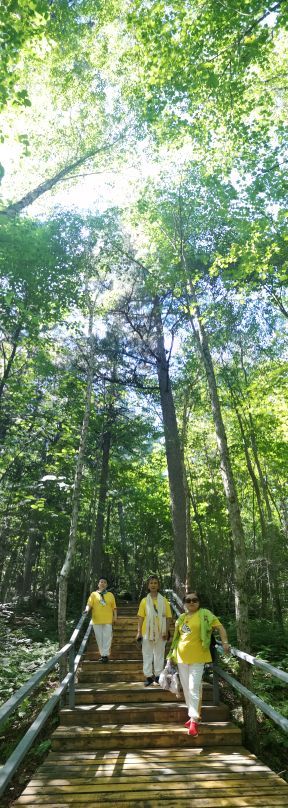 五营红松林海景区