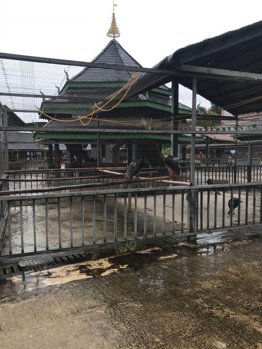 澜沧江交融1号五星游轮