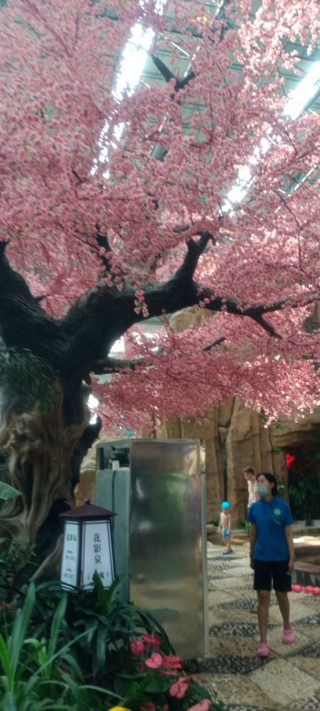 浴龙谷旅游度假区温泉