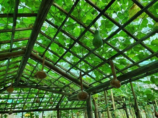 光明农场大观园