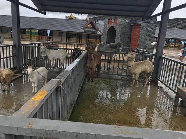 澜沧江交融1号五星游轮