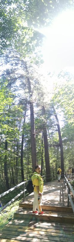 五营红松林海景区