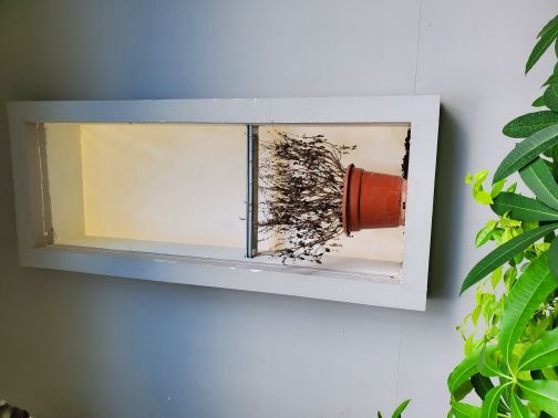 光明农场大观园