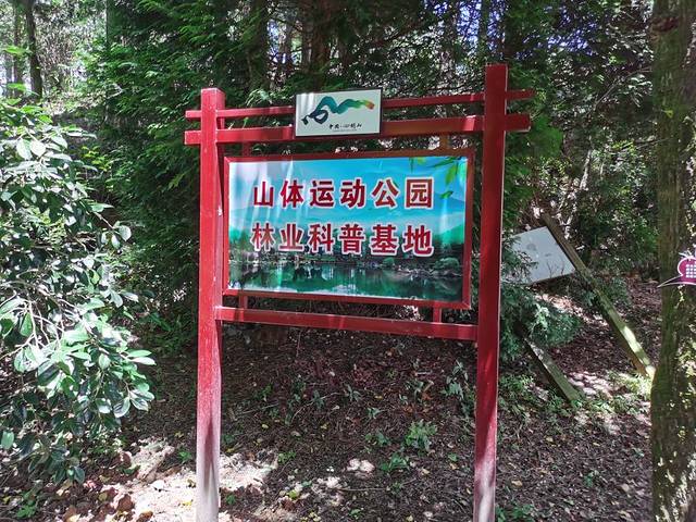 四明山国家森林公园