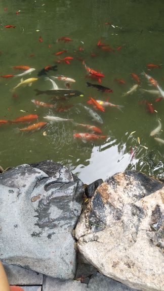 九顶塔中华民俗欢乐园