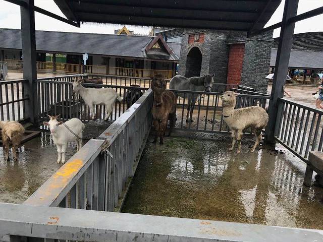 澜沧江交融1号五星游轮