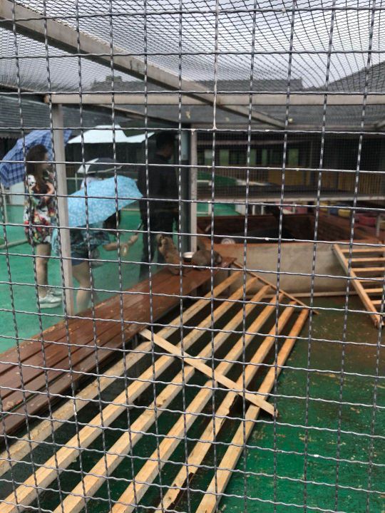 澜沧江交融1号五星游轮