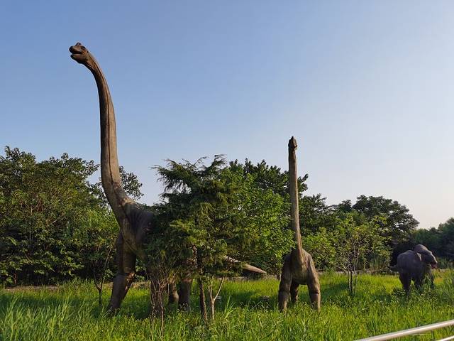 杭州恐龙梦公园