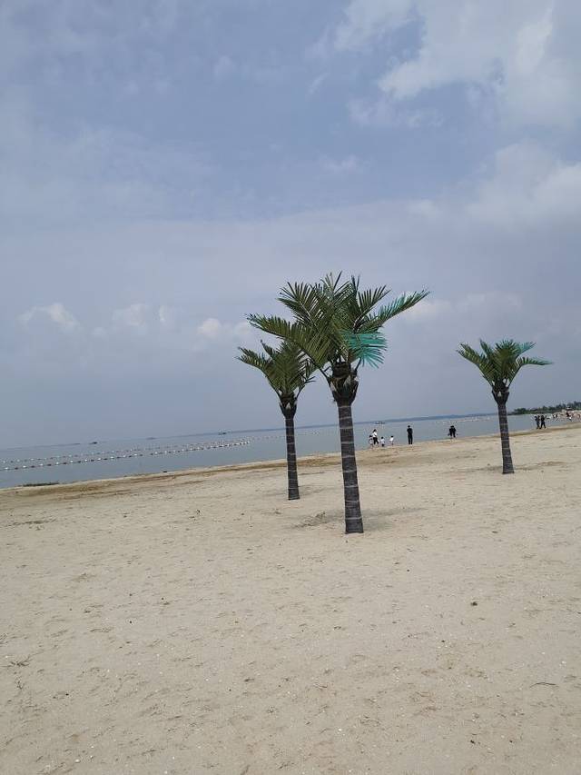 骆马湖沙滩公园