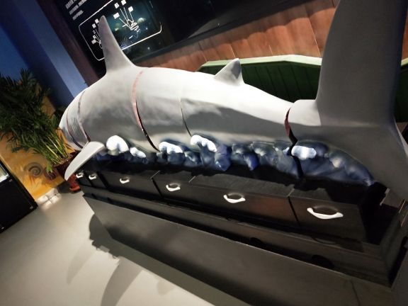 石家庄海洋公园(海悦天地购物广场店)