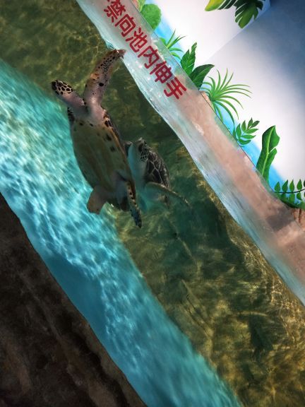 石家庄海洋公园(海悦天地购物广场店)