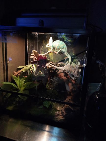 石家庄海洋公园(海悦天地购物广场店)