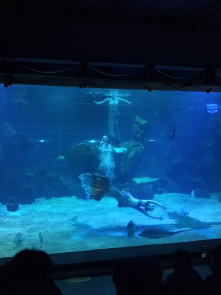 石家庄海洋公园(海悦天地购物广场店)