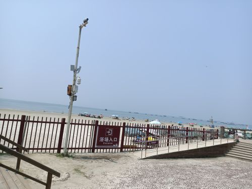 红树林拾贝赶海