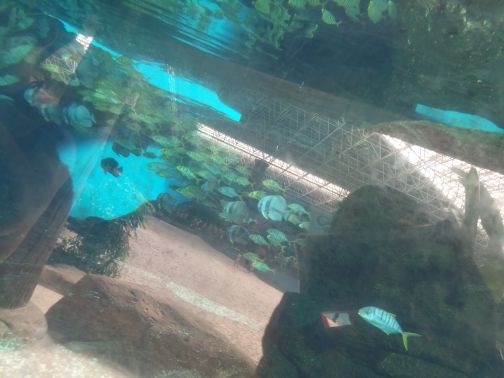 波塞冬沙滩水世界